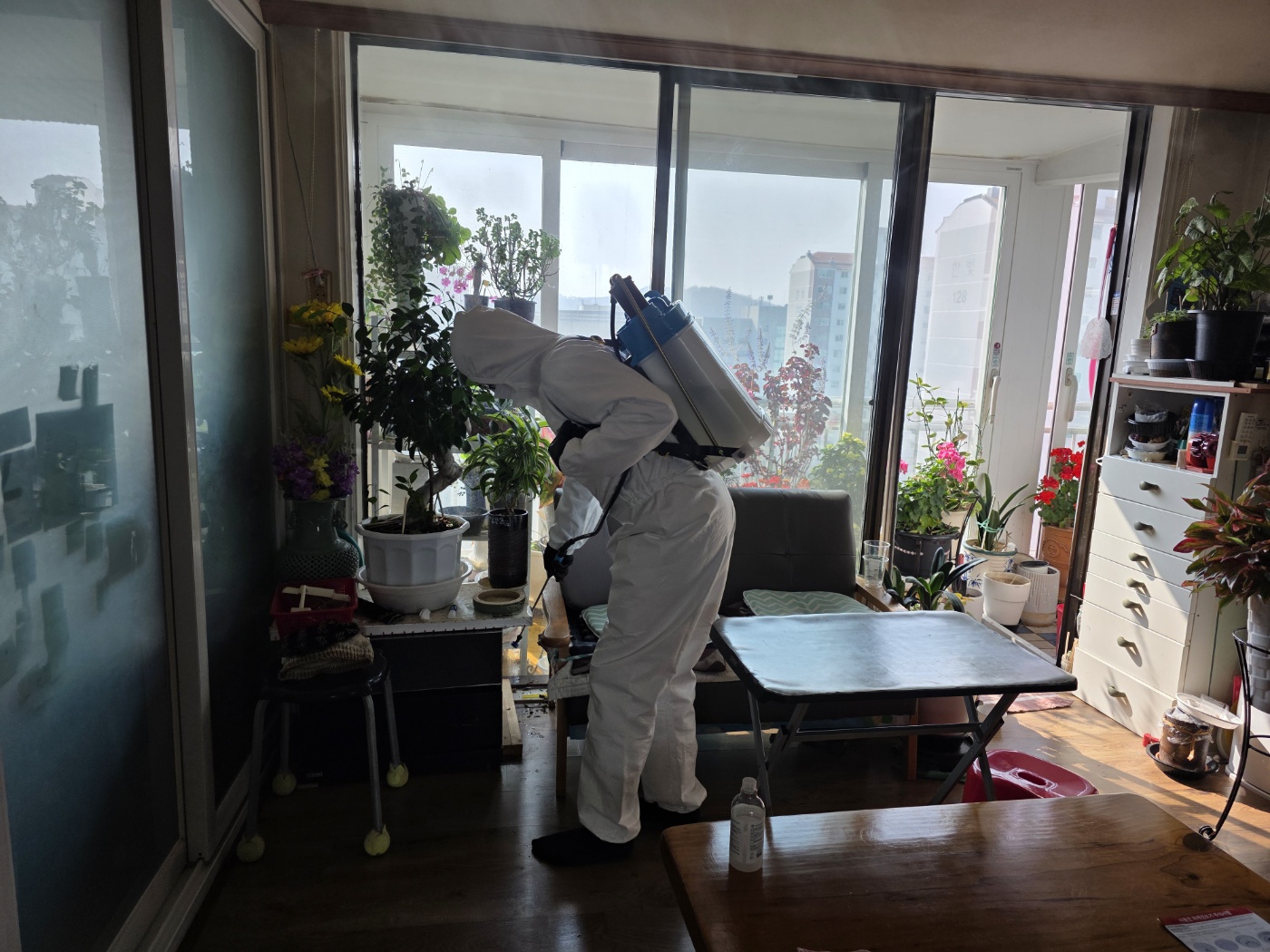 KakaoTalk_20260310_153014142.jpg